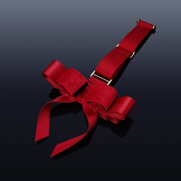Upko Portable Bowknot Over-the-door Hand Restraint Gear