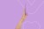 Masażer intymny FairyGasm IcyCone Violet
