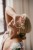 DayDream-41.jpg