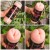 VIRGIN-SKIN BLOWOUT DOUBLE SIDE STROKER
